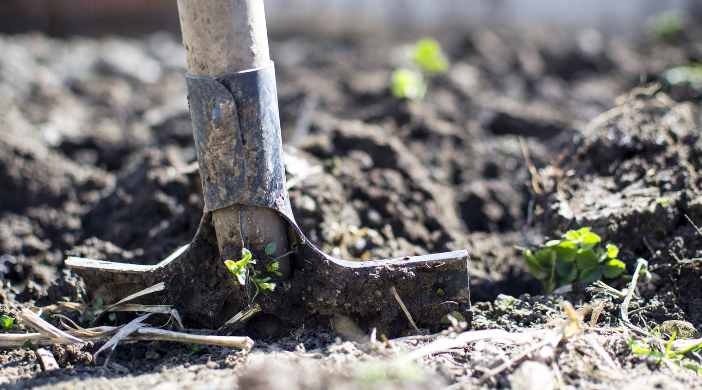 Organic Spices - How Do You Know What Is Organic?